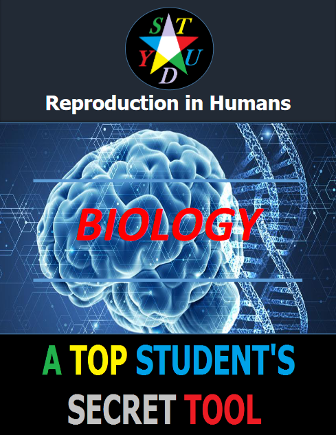 Reproduction in Animals