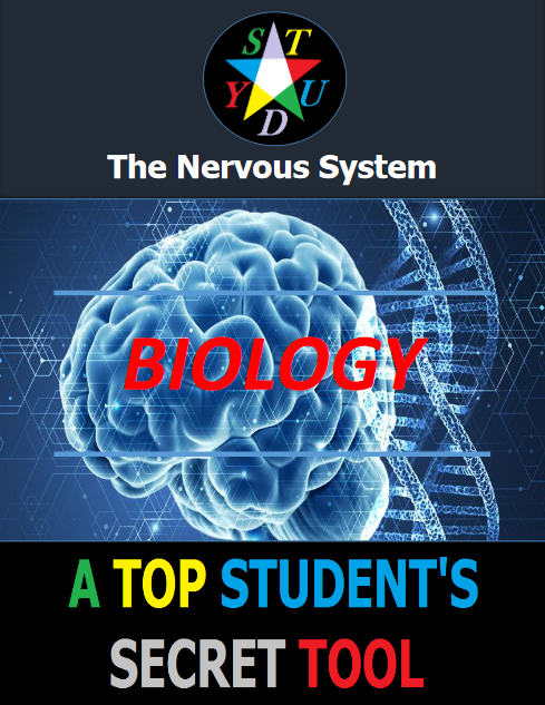 Nervous System