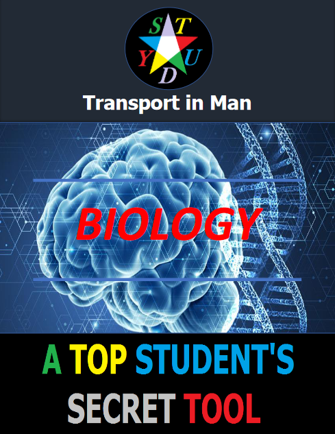 Transport in Man